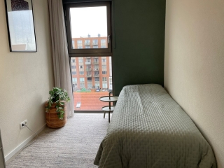 Teakhout 126 Zaandam