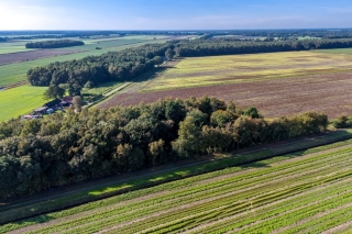 2E Dalweg 10 Vriescheloo