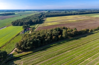 2E Dalweg 10 Vriescheloo