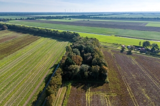 2E Dalweg 10 Vriescheloo