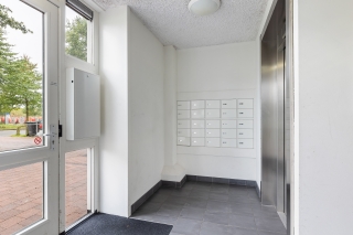 Erfwal 6 F ZWOLLE