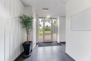 Erfwal 6 F ZWOLLE
