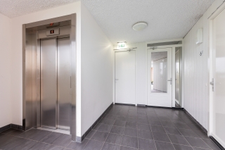 Erfwal 6 F ZWOLLE