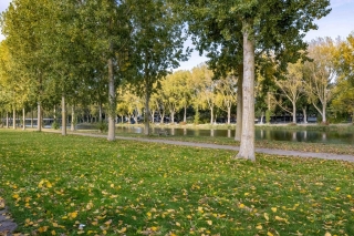 Groep Meelhuysenstraat 46 Almere