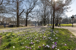 Hagelstraat 6 ZWOLLE