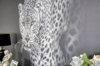 van Galenstraat 23 HAAKSBERGEN