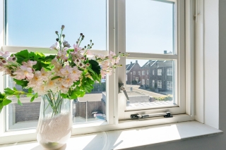 Koraalzwam 8 Apeldoorn