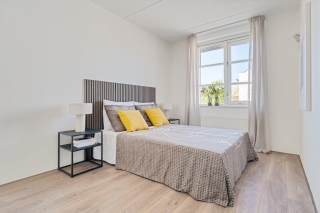 Koraalzwam 8 Apeldoorn