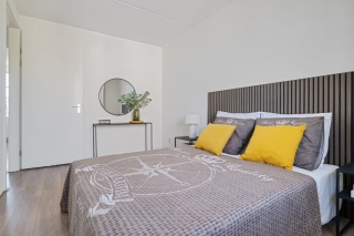 Koraalzwam 8 Apeldoorn