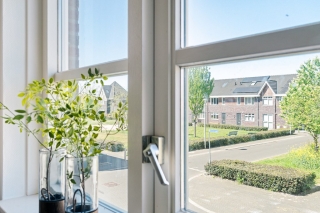 Koraalzwam 8 Apeldoorn