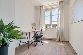 Koraalzwam 8 Apeldoorn