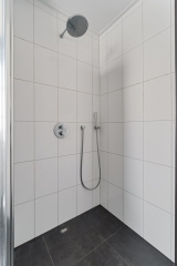 Koraalzwam 8 Apeldoorn