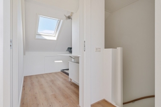 Koraalzwam 8 Apeldoorn