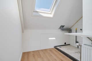 Koraalzwam 8 Apeldoorn