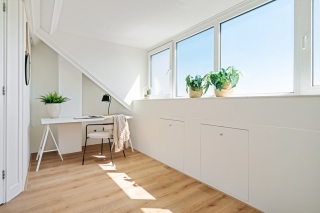 Koraalzwam 8 Apeldoorn