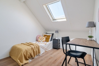 Koraalzwam 8 Apeldoorn
