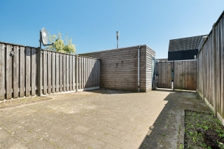 Koraalzwam 8 Apeldoorn