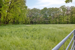 Veldhoekseweg 17 HENGELO (GLD)