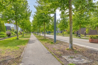 Bamshoevelaan 4 ENSCHEDE