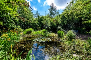 Venneweg 14 Vlagtwedde