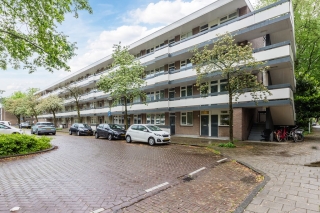 Bolestein 496 Amsterdam