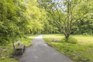 Trekvogelweg 77 AMERSFOORT