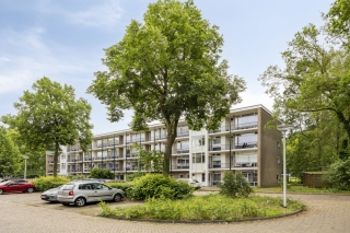 De Reiger 193 HOOGEVEEN