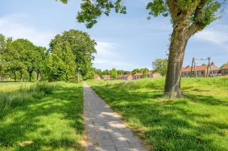 Tulpstraat 30 Winschoten