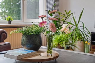 Laurierstraat 44 Apeldoorn