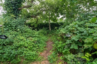 Burgemeester Van Der Feltzweg 53 Twello