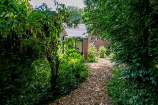 Vonkslaan 37 Bellingwolde