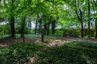 Vonkslaan 37 a Bellingwolde