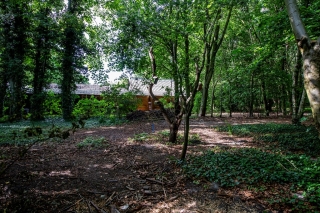 Vonkslaan 37 a Bellingwolde