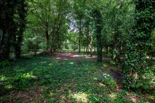 Vonkslaan 37 a Bellingwolde