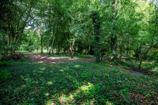 Vonkslaan 37 a Bellingwolde