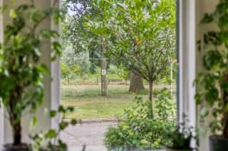 Hondelink 69 HAAKSBERGEN
