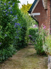 Huygenslaan 27 Apeldoorn